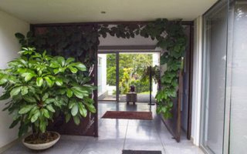 Country House in Cali, Choco, Colombia 1 - 17293957