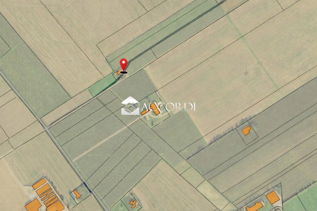Farm Ranch in Maniago, Friuli – Venezia Giulia, Italy 1 - 17292937