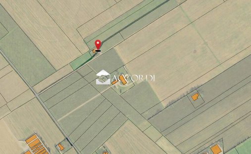 Azienda agricola a Maniago, Friuli-Venezia Giulia, Italia 1