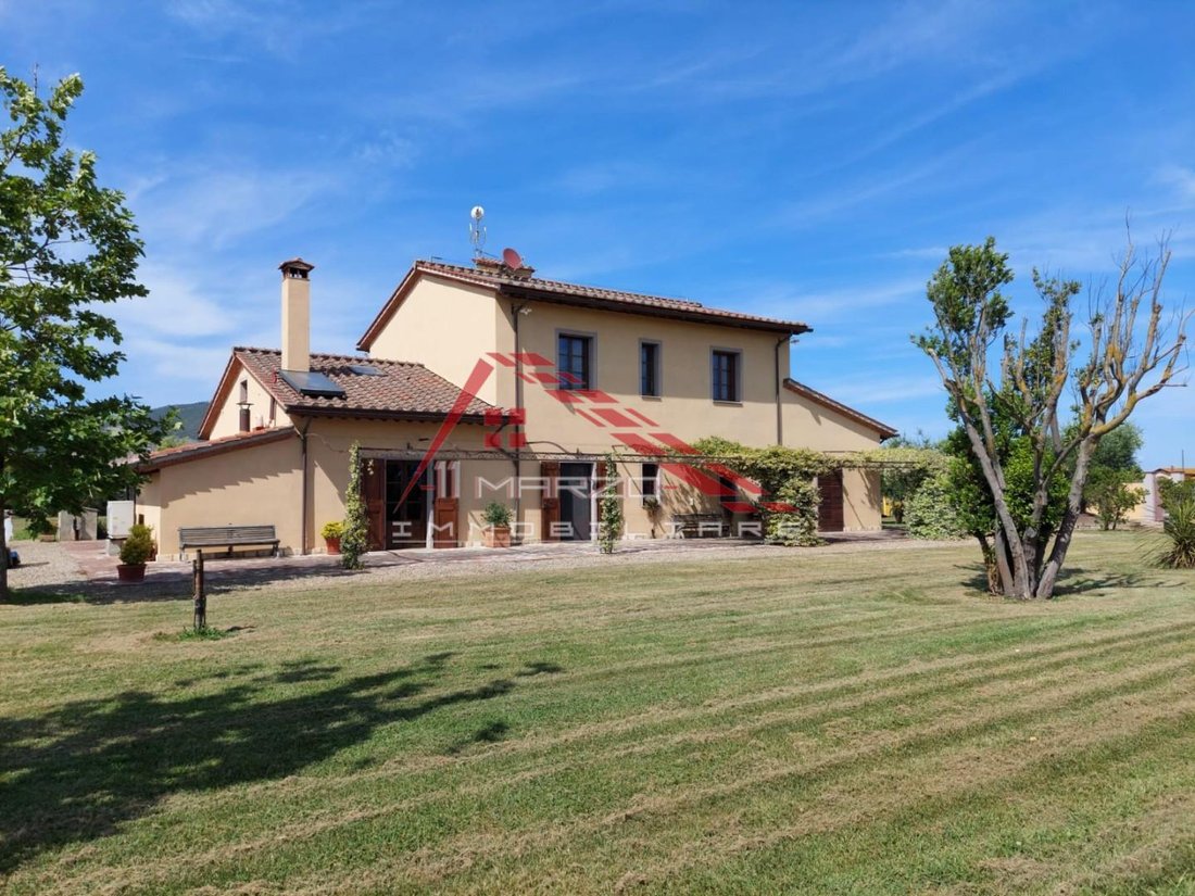 San Frediano a Settimo, Cascina, Tuscany 1 - 17294614