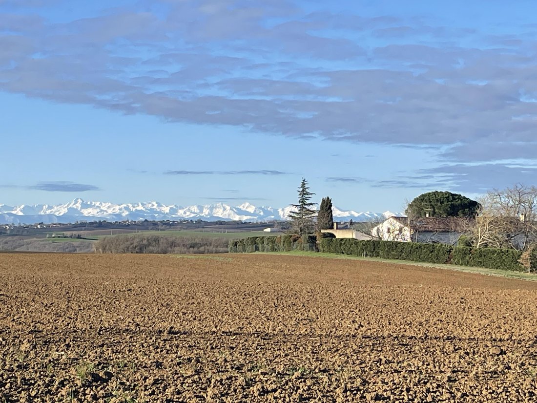 Villa in Vieillevigne, Occitania, France 1 - 17233418
