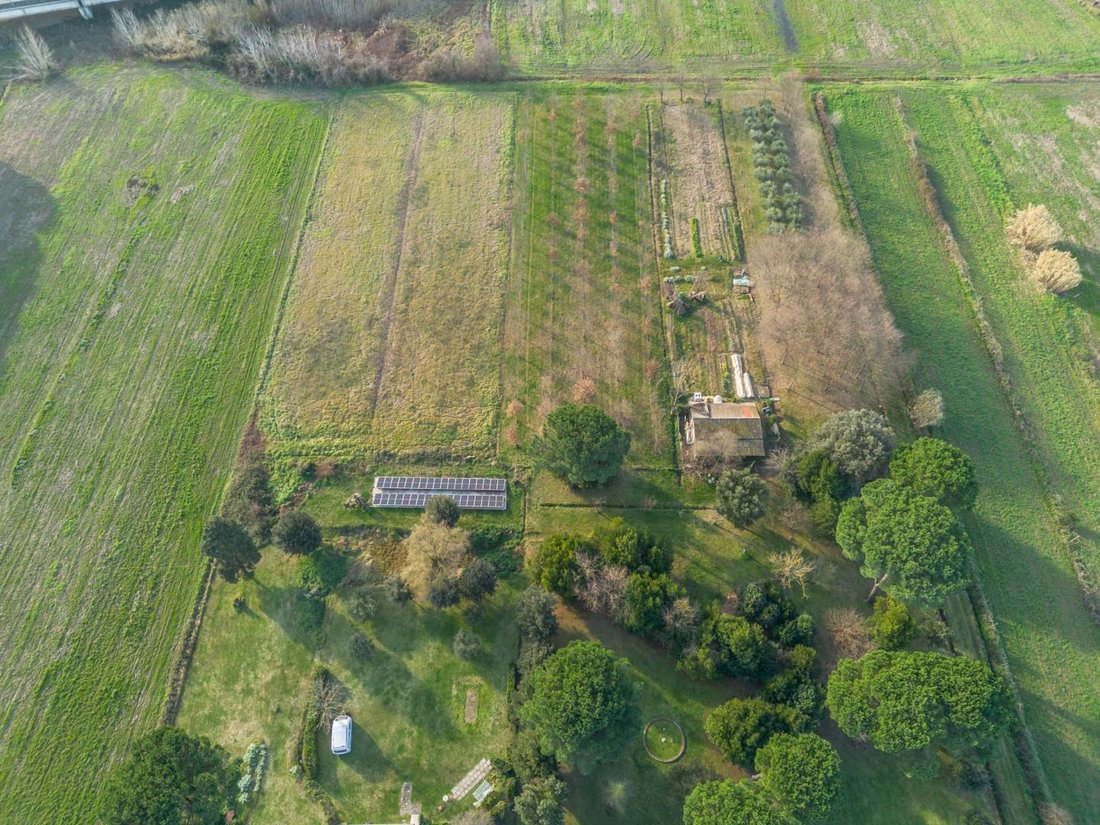 House in Saint Lucia - La Borra, Pontedera, Tuscany 5 - 17294859
