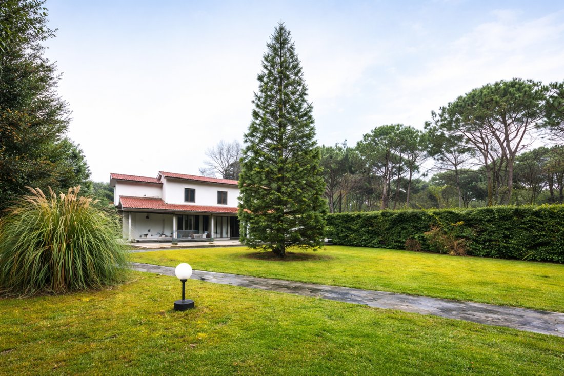 Villa in Ronchi, Massa, Italy 3 - 15915952
