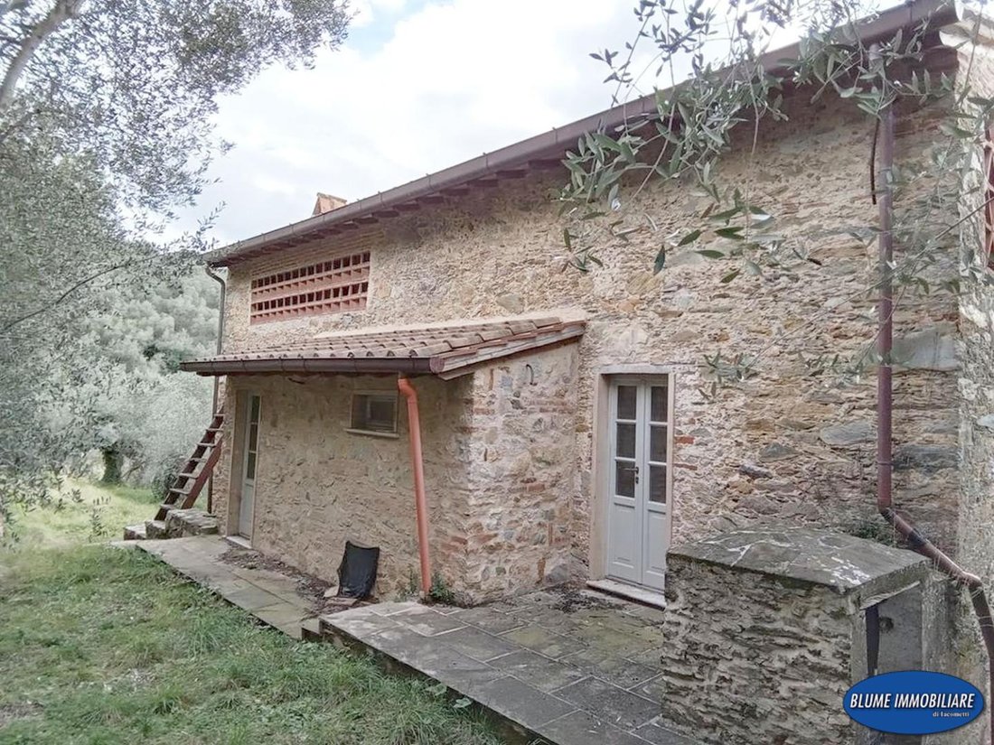 Farm Ranch in Camaiore, Tuscany, Italy 4 - 17294045