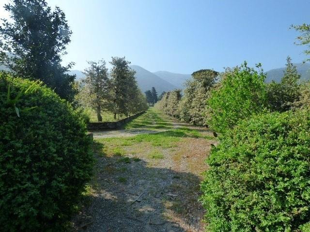 Verciano, Capannori, Tuscany 4 - 17294944