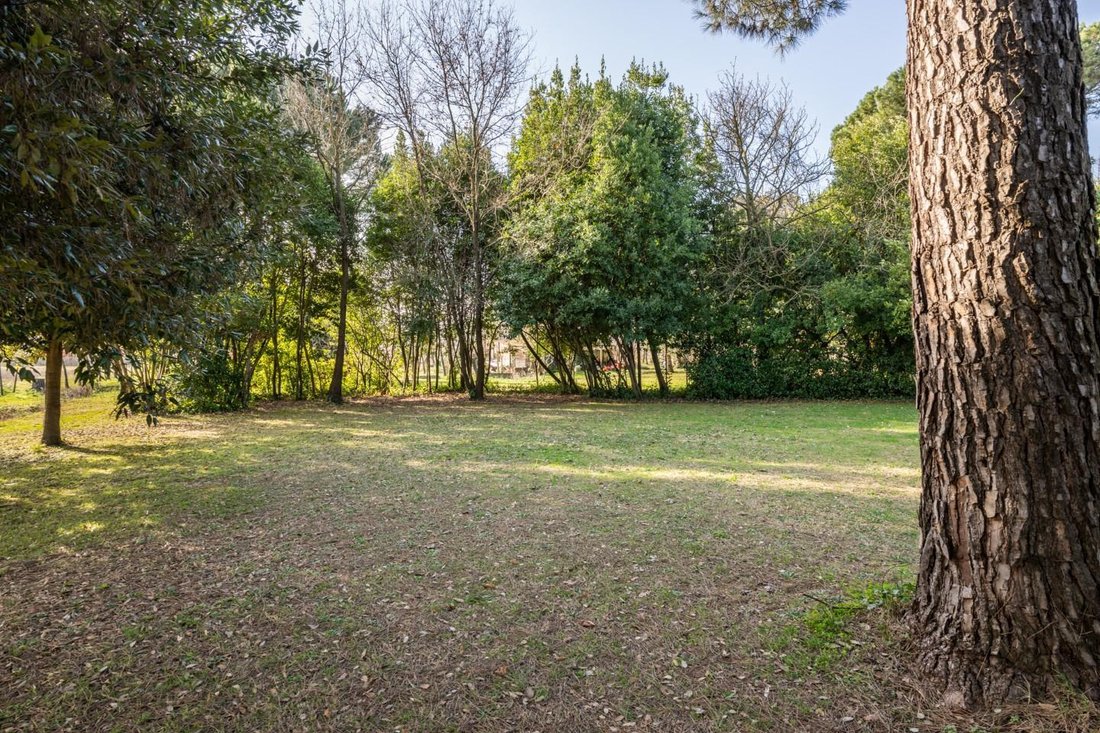 House in Saint Lucia - La Borra, Pontedera, Tuscany 3 - 17294859