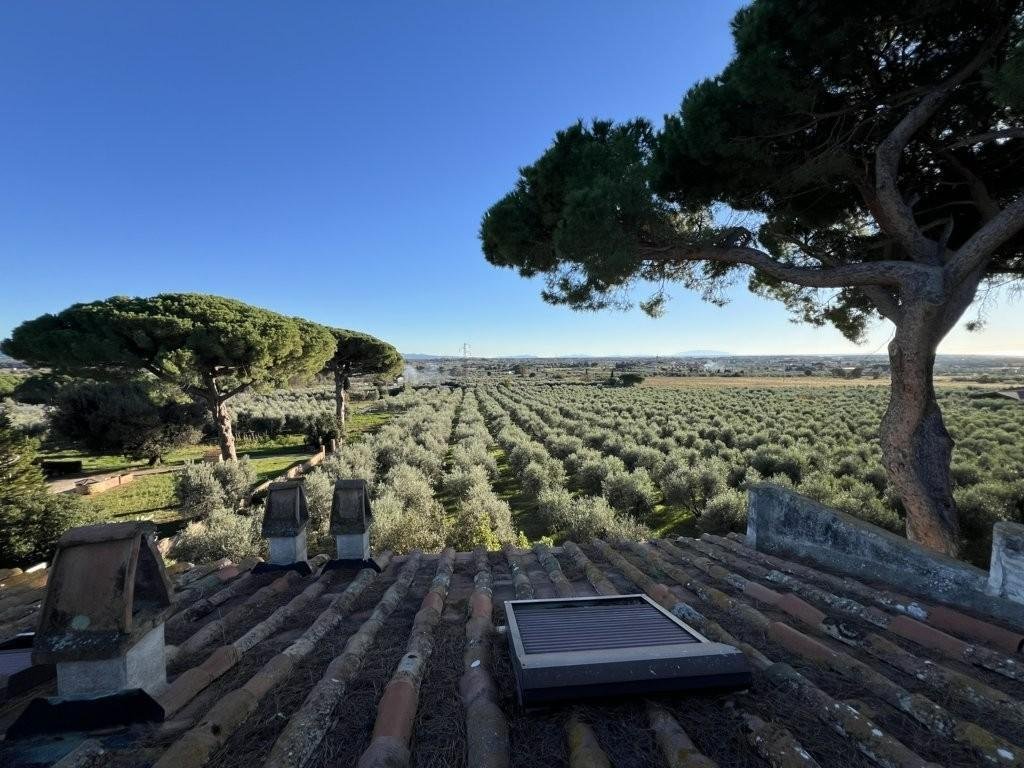 Villa in Saint Peter in Palazzi - Collemezzano - Cat's Hole, Cecina, Tuscany 4 - 17294501