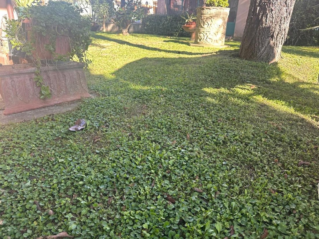 Villa in Hospital Zone, Empoli, Tuscany 4 - 17294306