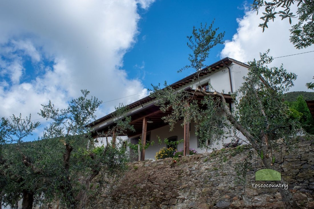 Country House in Calci, Tuscany, Italy 2 - 17296079