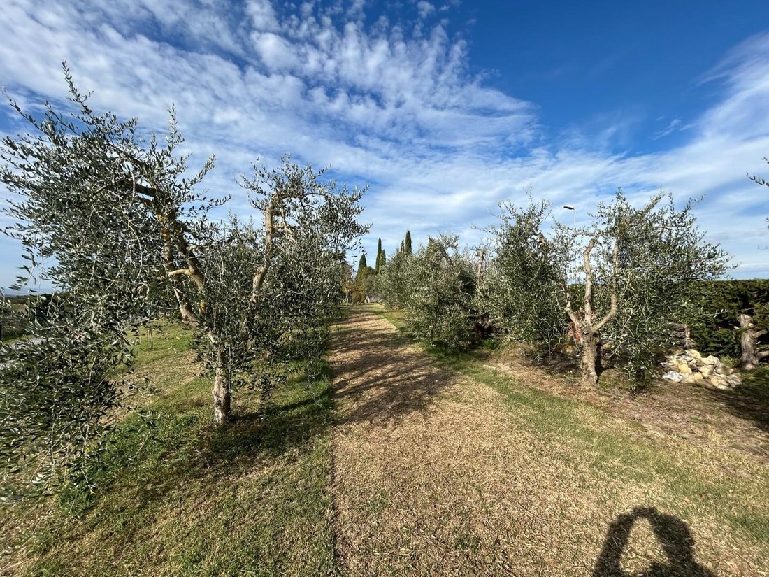 Country House in Guistrigona, Tuscany, Italy 4 - 17294294