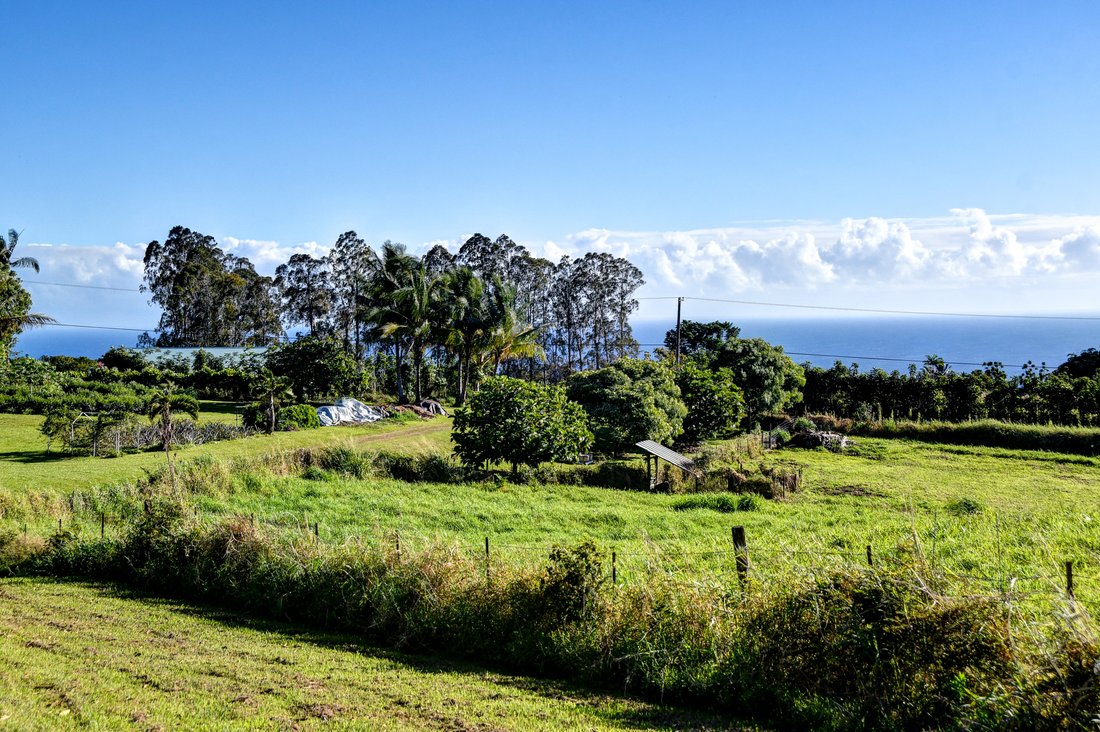 House in Pepeekeo, Hawaii, United States 3 - 17297805