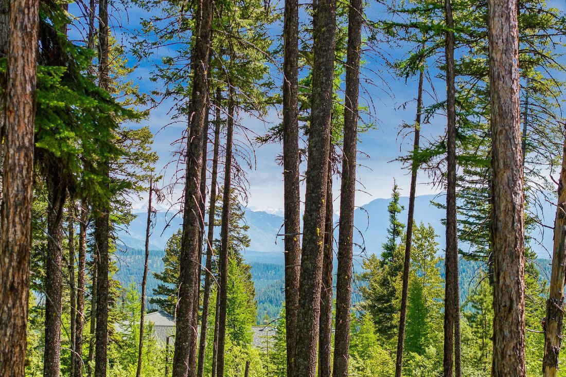 House in Whitefish, Montana, United States 2 - 17300127