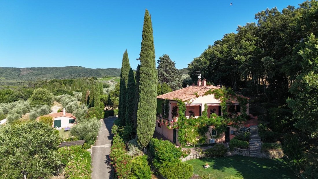 Villa in Castagneto Carducci, Tuscany, Italy 1 - 17294268