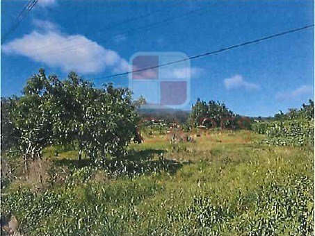 Land in Santana, Madeira, Portugal 3 - 17295401