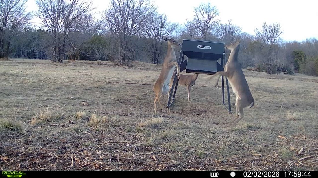 Land in Bluff Dale, Texas, United States 2 - 17297643