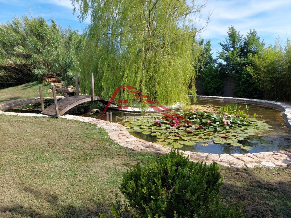 San Frediano a Settimo, Cascina, Tuscany 5 - 17294614