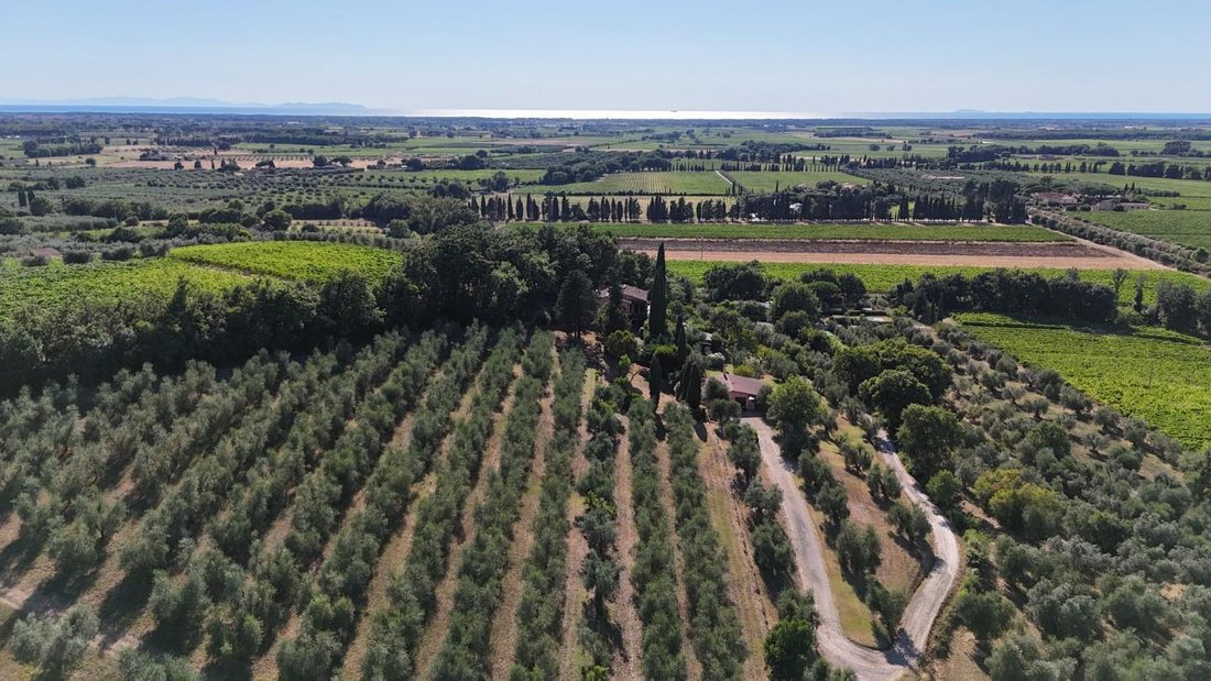 Villa in Castagneto Carducci, Tuscany, Italy 2 - 17294268