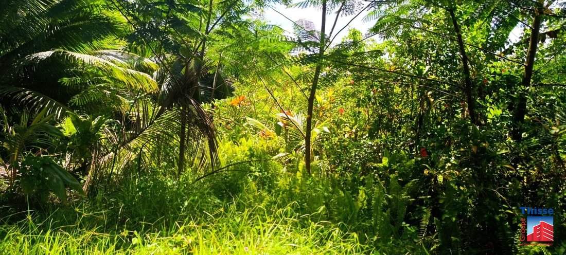 Land in Taravao, Windward Islands, French Polynesia 2 - 17298482