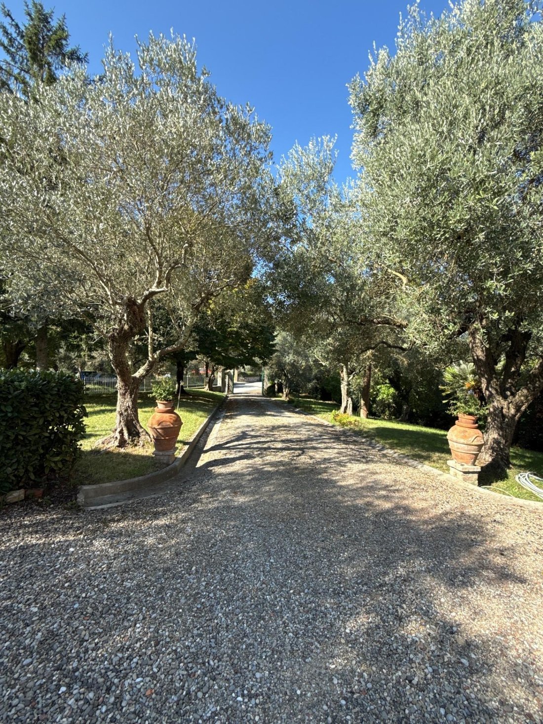 Villa in Crespina, Tuscany, Italy 2 - 17294690