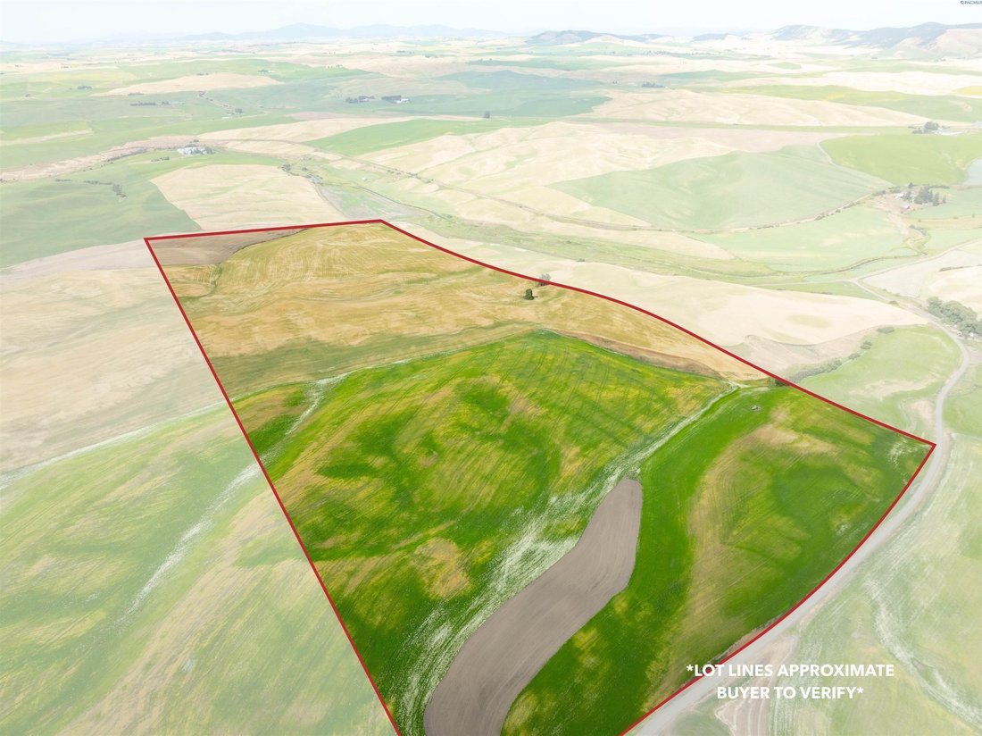 Farm Ranch in Rosalia, Washington, United States 5 - 17299328