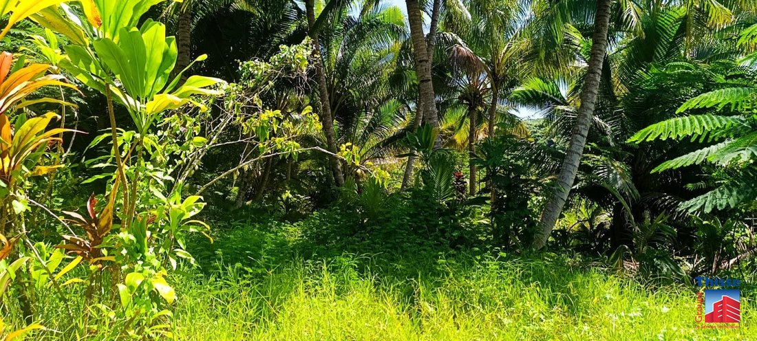 Land in Taravao, Windward Islands, French Polynesia 4 - 17298482