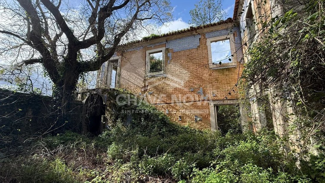 Farm Ranch in Sao Vicente, Lisbon, Portugal 5 - 17090364
