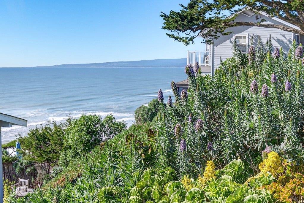 House in Watsonville, California, United States 3 - 17295821