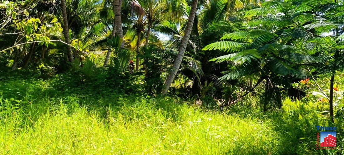 Land in Taravao, Windward Islands, French Polynesia 5 - 17298482