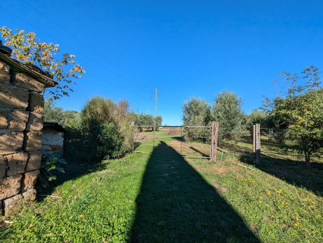 Villa in Rusellae, Tuscany, Italy 5 - 17294340