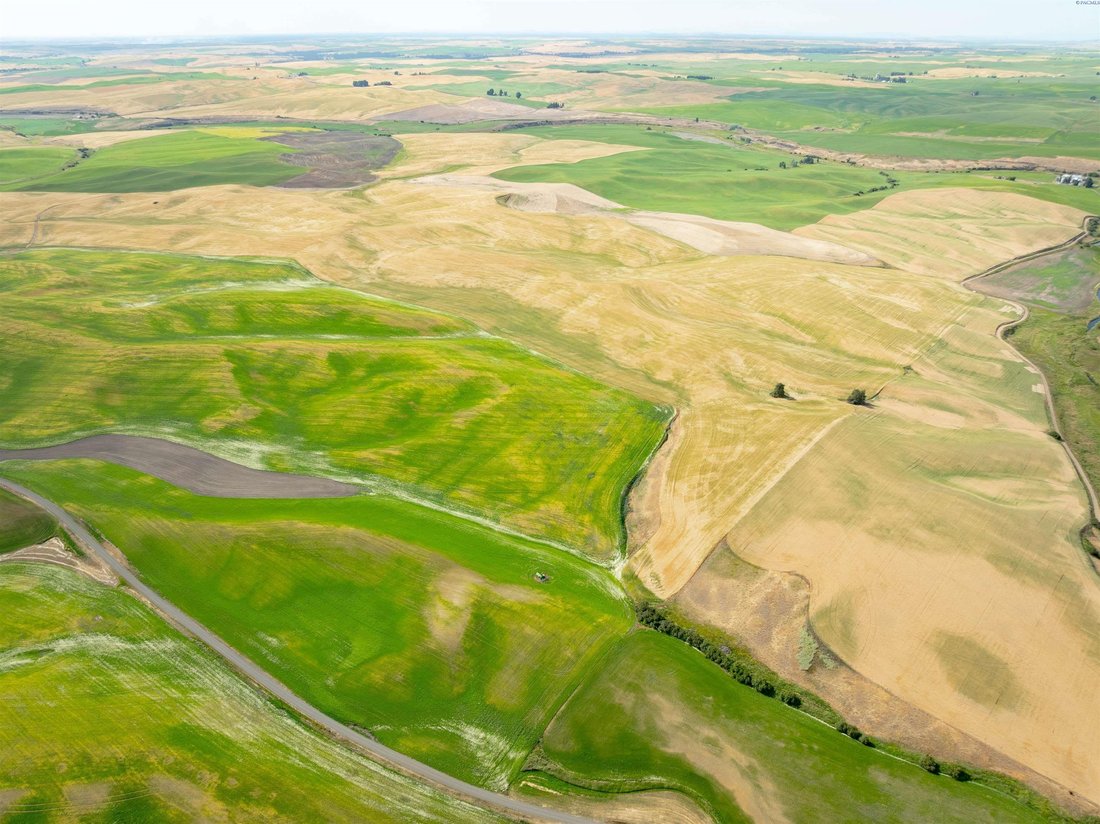 Farm Ranch in Rosalia, Washington, United States 1 - 17299328