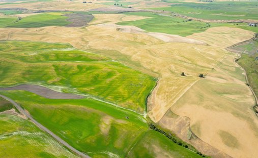 Farm Ranch in Rosalia, Washington, United States 1