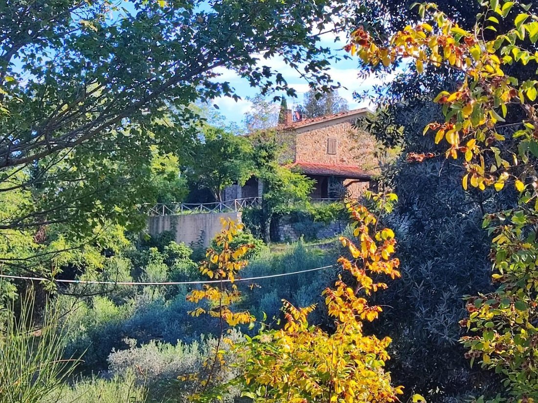 Country House in Scansano, Tuscany, Italy 5 - 17294208