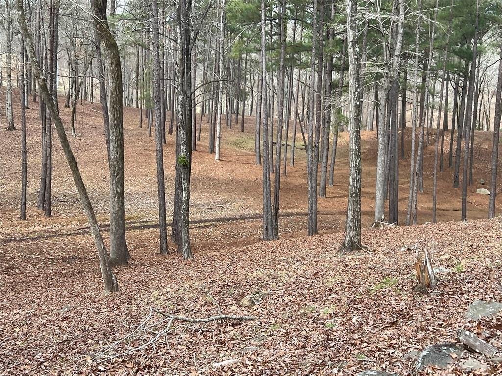 Land in Phenix City, Alabama, United States 3 - 17297659