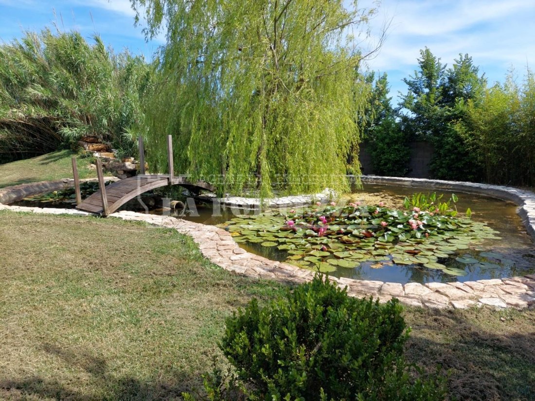 San Frediano a Settimo, Cascina, Tuscany 5 - 17294086