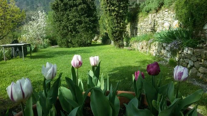 Country House in Buti, Tuscany, Italy 3 - 17294237