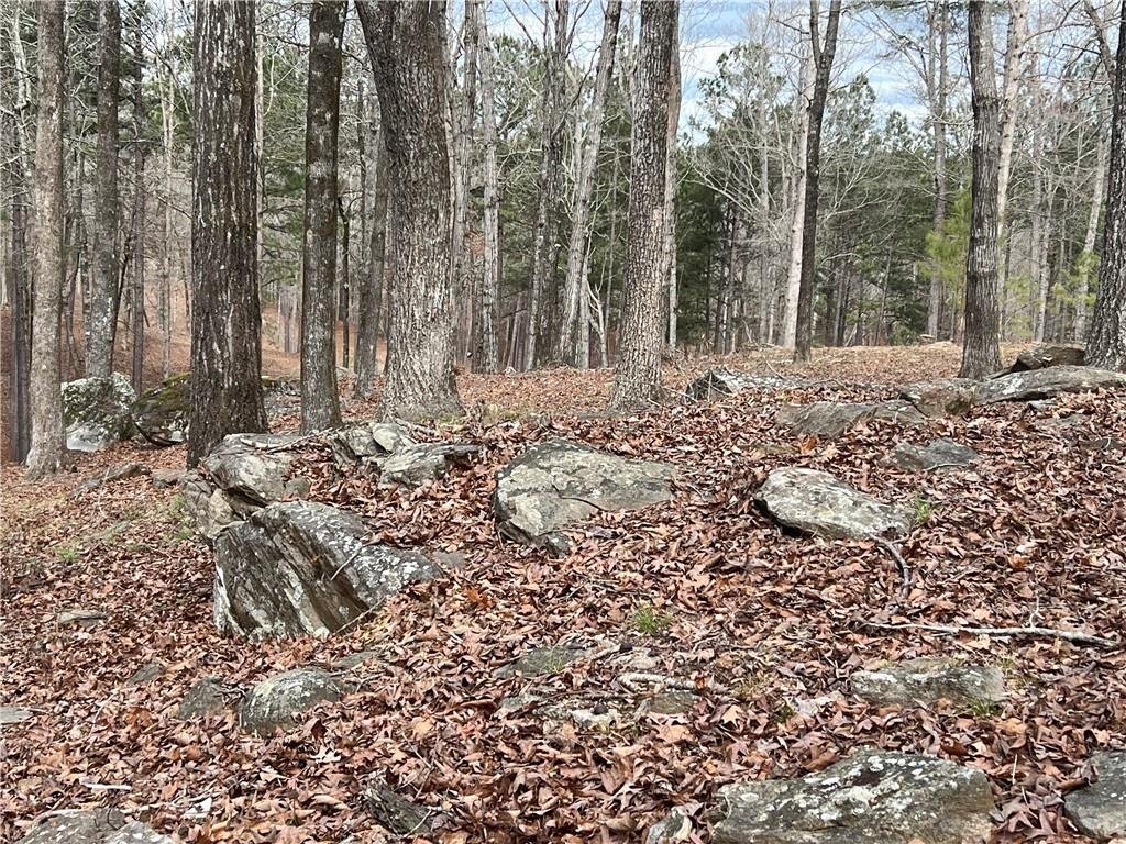 Land in Phenix City, Alabama, United States 1 - 17297659