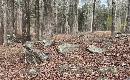 Terreno a Phenix City, Alabama, Stati Uniti 1