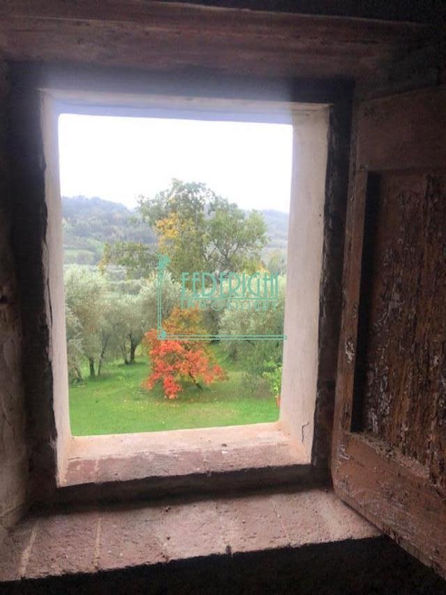 Segromigno in Monte, Capannori, Tuscany 2 - 17294648