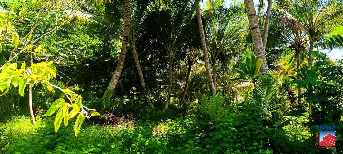 Land in Taravao, Windward Islands, French Polynesia 1 - 17298482