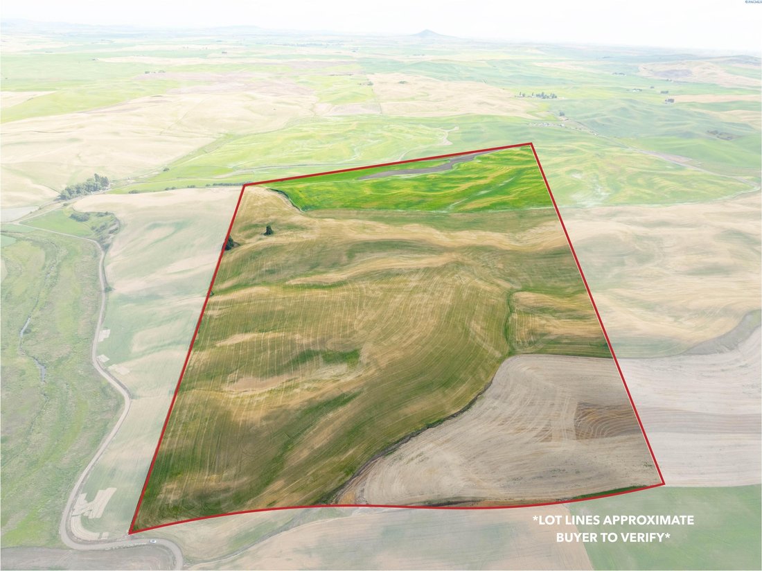 Farm Ranch in Rosalia, Washington, United States 3 - 17299328