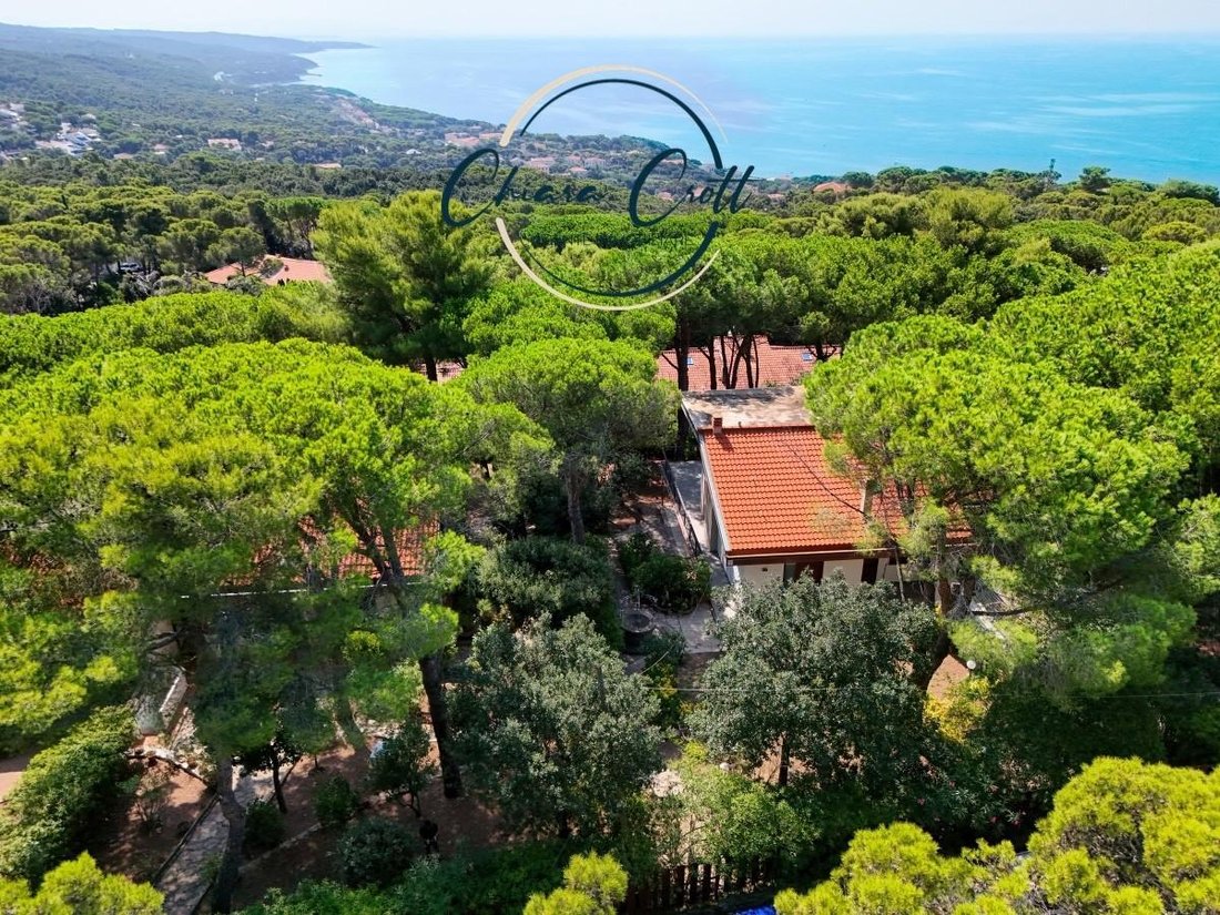 Villa in Livorno, Tuscany, Italy 3 - 17294775