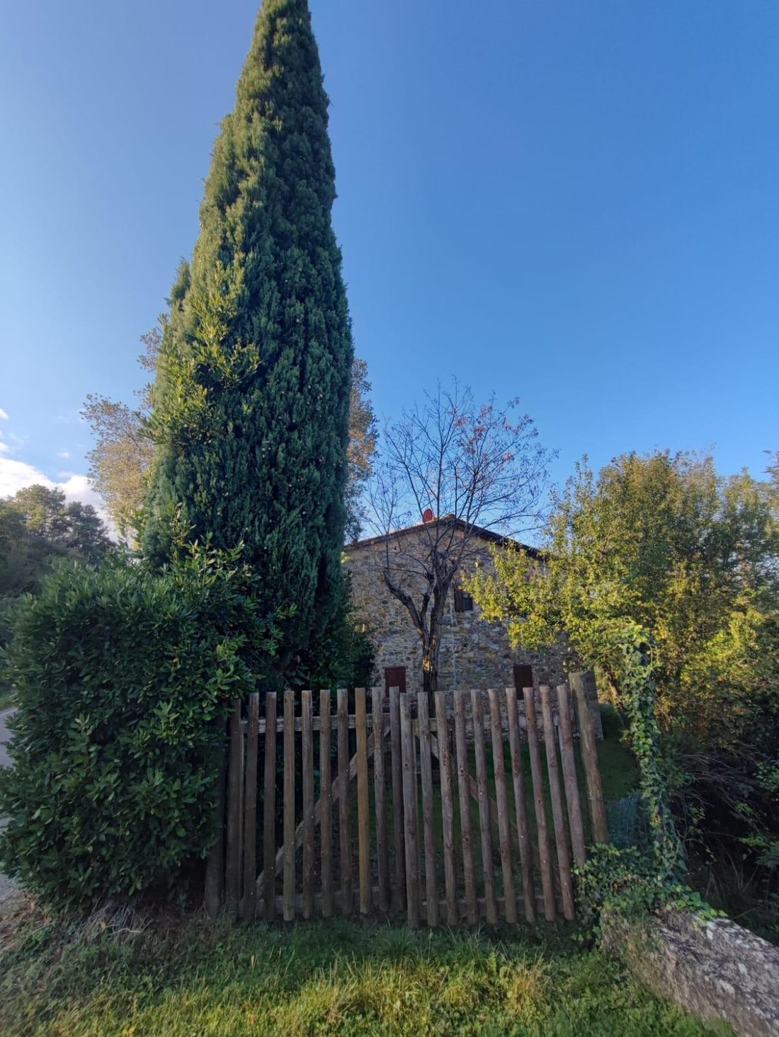 Country House in Scansano, Tuscany, Italy 3 - 17294208