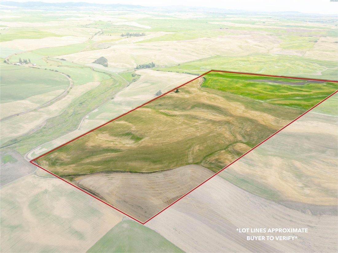 Farm Ranch in Rosalia, Washington, United States 4 - 17299328