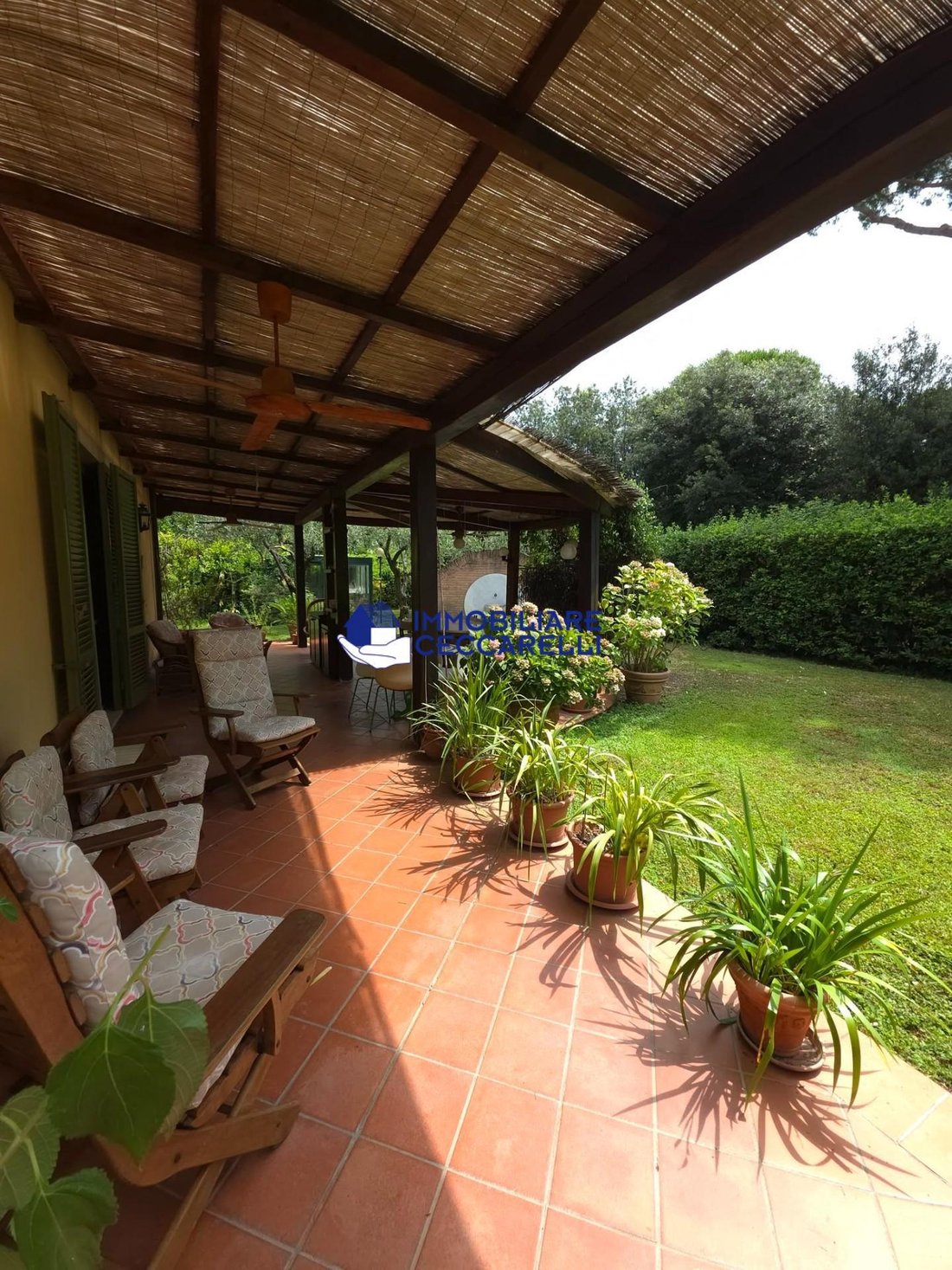 Villa in Ronchi, Massa, Italy 5 - 17294133