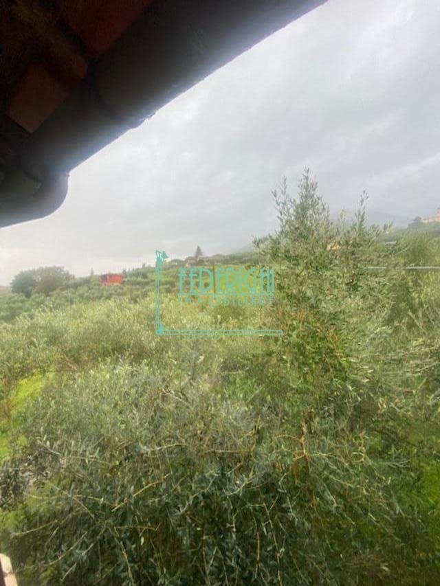Segromigno in Monte, Capannori, Tuscany 3 - 17294648