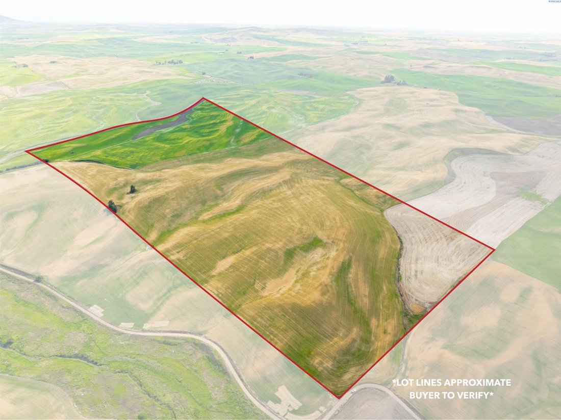 Farm Ranch in Rosalia, Washington, United States 2 - 17299328