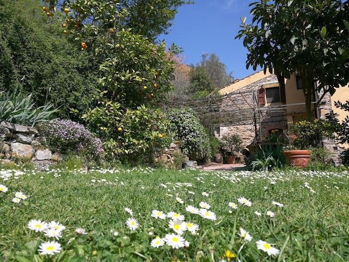 Country House in Buti, Tuscany, Italy 5 - 17294237
