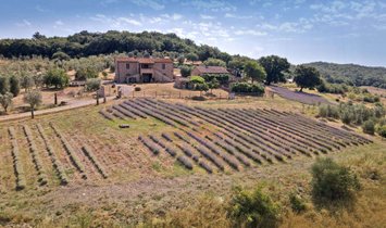 Villa en Gavorrano, Toscana, Italia 1