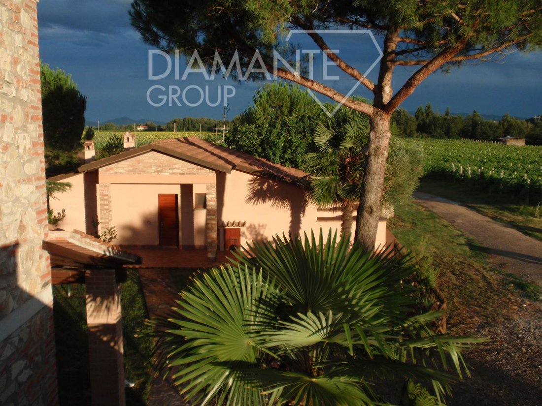 Villa in Castiglione del Lago, Umbria, Italy 3 - 17297933