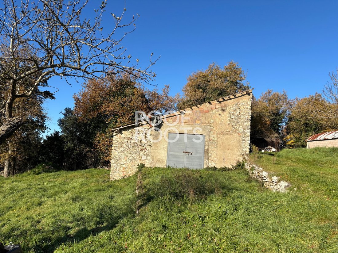 Villa in Sovicille, Tuscany, Italy 3 - 17300178